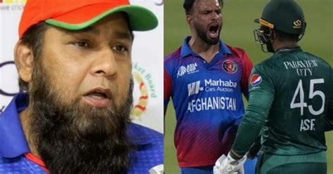 Inzamam-ul-Haq slams Afghanistan fans over violent behaviour