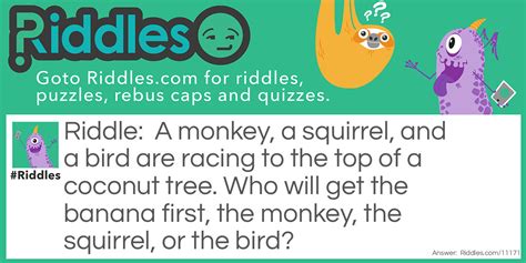 Monkey, Squirrel, Or Bird ... Riddle And Answer - Riddles.com