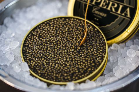 The Most Common Types of Caviar – Imperia Caviar