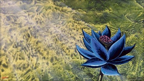 Black Lotus Wallpapers on WallpaperDog