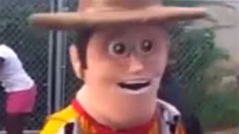 Woody Pfp