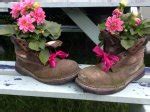 Original plant pots with old shoes