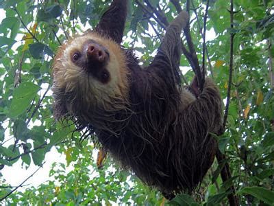 Monteverde Cloud Forest Ecology | Monteverde Costa Rica