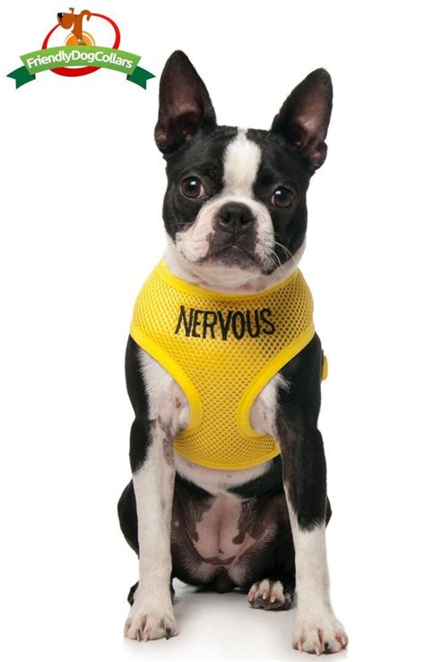 Nervous Dog Vest Harness - Dog-Collars, Leads & Harnesses-Harnesses : Pet Shop Auckland – Pet ...