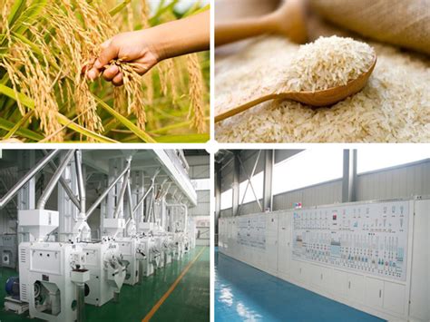 Modern rice milling process_FAQ