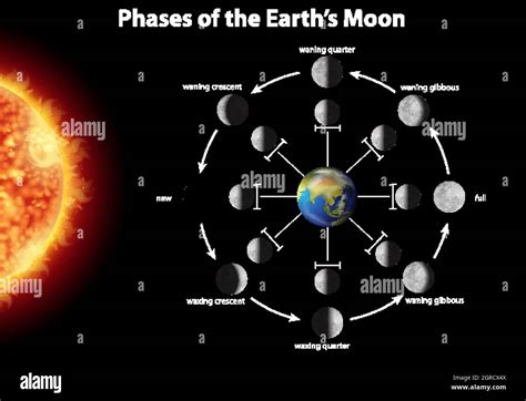 Lunar phases diagram hi-res stock photography and images - Alamy