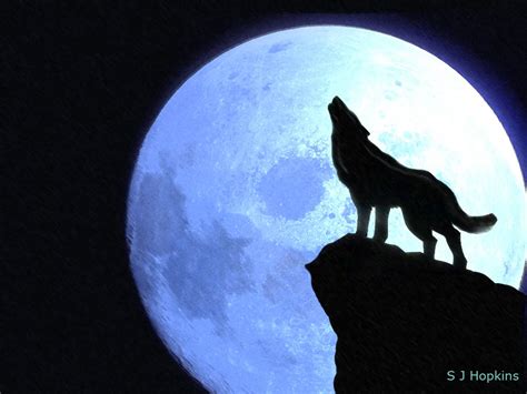 Wolf Howling At The Moon Drawing at GetDrawings | Free download