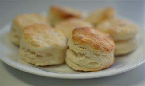 White Lily’s Biscuit Recipe and a Lab | The Teacher Cooks