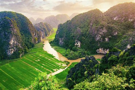 Vietnam Paddy Fields Photograph by Shimona Carvalho - Pixels