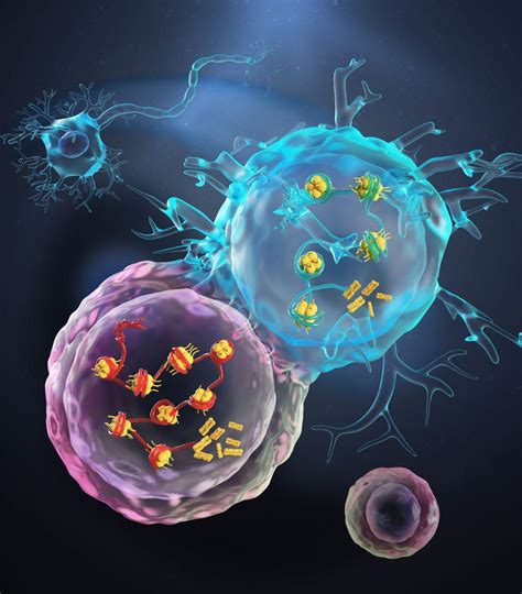 Mechanotransduction and Biophysical Regulation | Song Li Lab