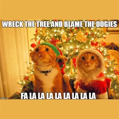 Hilarious Christmas Cat Memes to Wish Your Furry Friend 2023