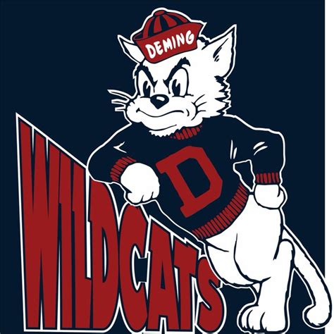 2022 Team Preview: Deming Wildcats - Prep Redzone