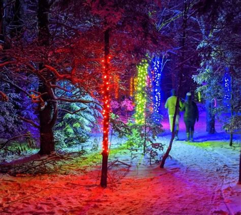 Take An Enchanting Stroll Through the Adirondack Wild Lights