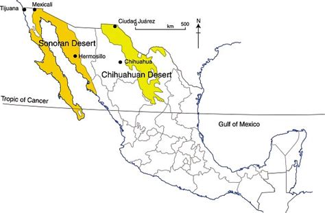 How similar are Mexico's two major deserts, the Sonoran Desert and the Chihuahuan Desert? | Geo ...