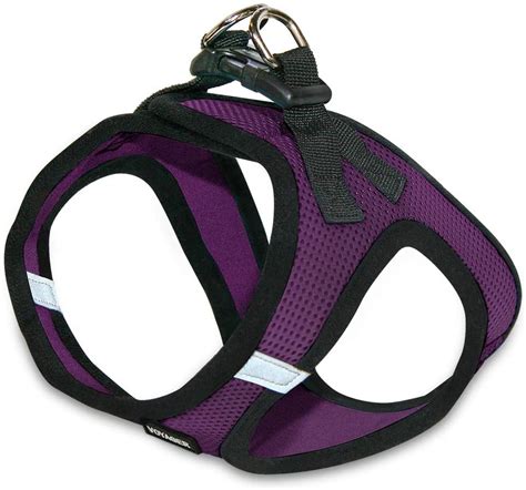 The Best Bengal Cat Harness [2024] - That Bengal Cat