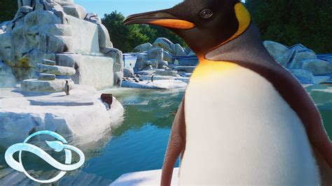 King Penguin Habitat