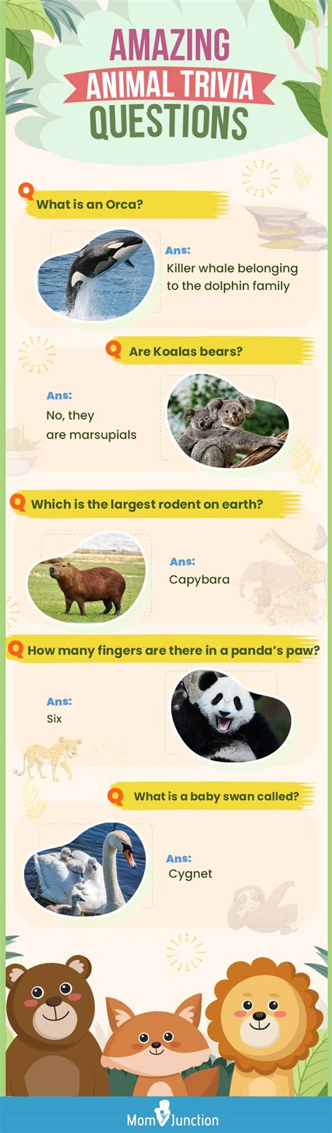 150+ Interesting Animal Trivia Questions For Kids, With Answers