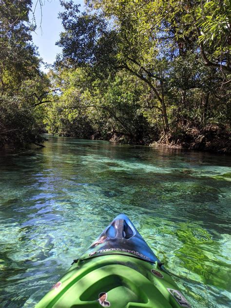 Weeki Wachee River, Florida : Kayaking