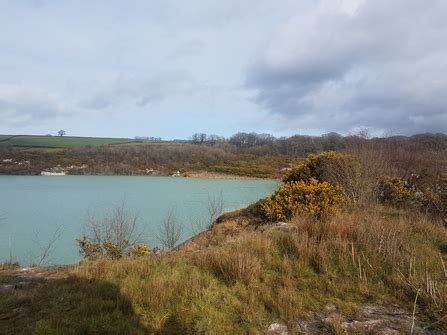 Meeth Quarry Nature Reserve | Devon Wildlife Trust