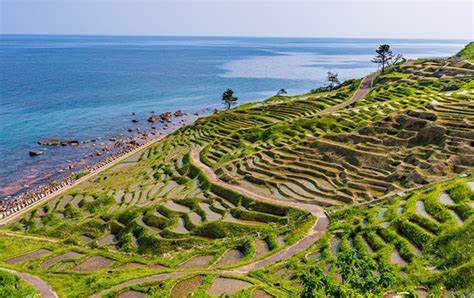 Nature Tour | Rice Planting Experience in Shiroyone Senmaida | JAPAN ADVENTURE