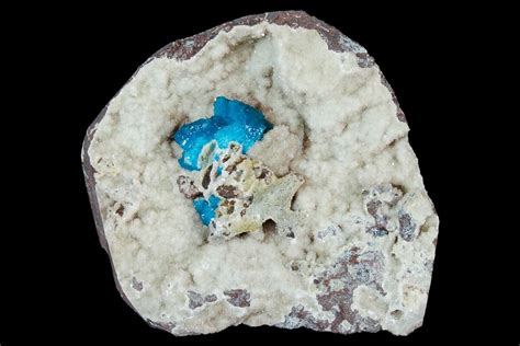 Vibrant Blue Cavansite Cluster on Stilbite - India (#176795) For Sale - FossilEra.com