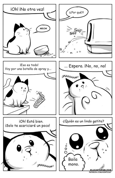 11 Cómics que ilustran la divertida vida de un gatito que encontró un nuevo hogar | Cómics de ...