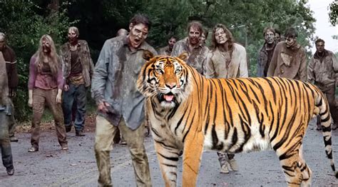 Kirkman Says Ezekiel And Shiva Were Made For The 'Walking Dead' Show