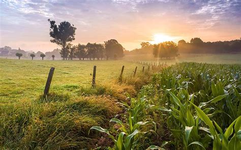 Tips for Photographing Your Ranch or Farm Listing | Land.com