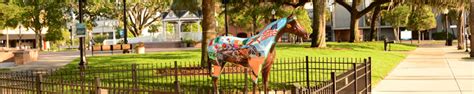 Guide to Local Shopping in Ocala, FL | Showcase Properties