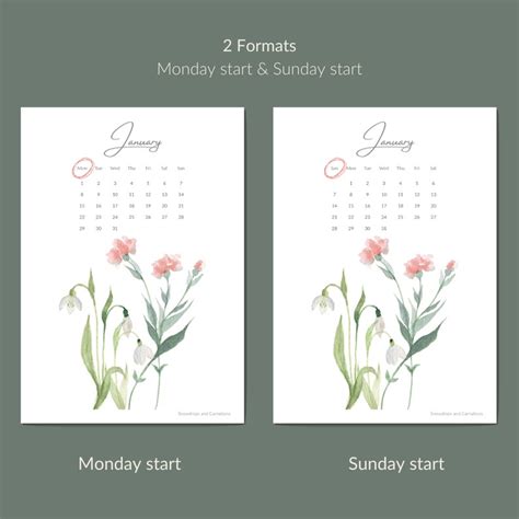 Minimalist Floral Calendar Printable 2024 Monthly Calendar A5 A6 Monday ...