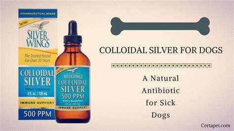 Colloidal Silver For Dogs: A Natural Antibiotic for Sick Dogs | Colloidal silver, Natural ...