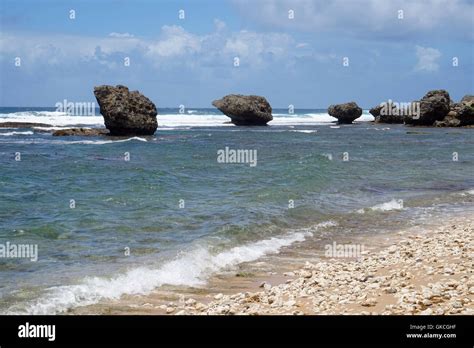 Rocks on Bathsheba's beach, Barbados Stock Photo - Alamy