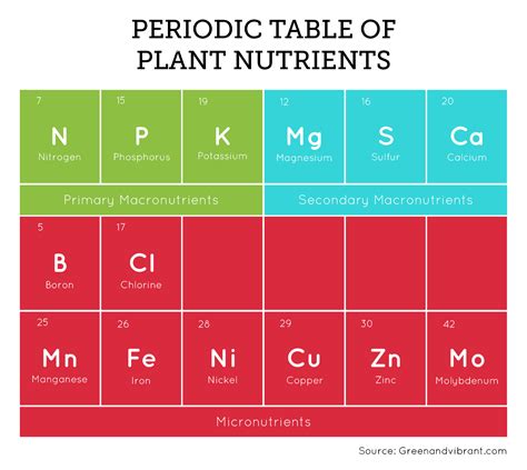 Hydroponic Nutrient Solution - The Essential Guide | Trees.com