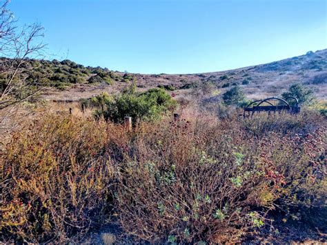 Wilderness Access Day: Bommer Canyon - Irvine Ranch Natural Landmarks