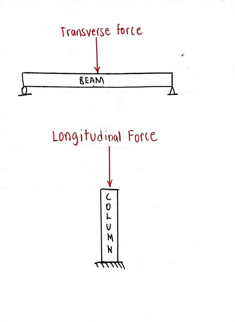 [Solved] Explain transverse lateral forces and longitudinal forces and ...