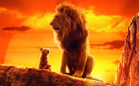 3840x2400 The Lion King 2019 4k Movie 4K ,HD 4k Wallpapers,Images ...