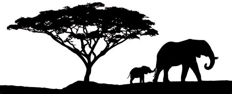 silhouette éléphant