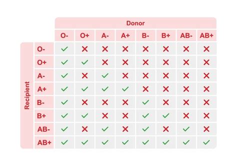 4+ Hundred Compatibility Test Blood Royalty-Free Images, Stock Photos & Pictures | Shutterstock