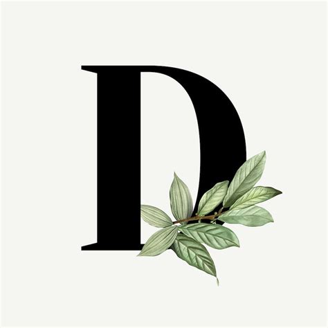 D Letter Botanic Images | Free Vectors, PNGs, Mockups & Backgrounds - rawpixel