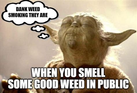 yoda smell - Imgflip