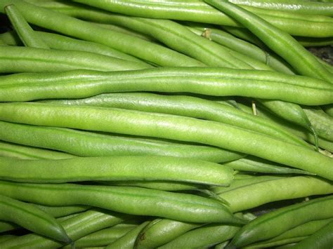 French Beans Free Photo Download | FreeImages