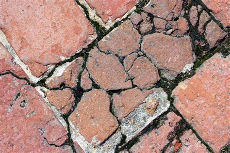 Cracked bricks - Free Stock Photo by Darren Hester on Stockvault.net