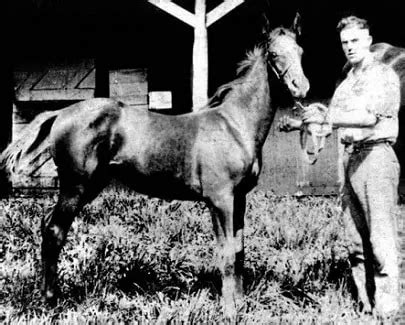 8 Interesting Facts About Man o' War (History, Earnings, Jockey, & Stats)