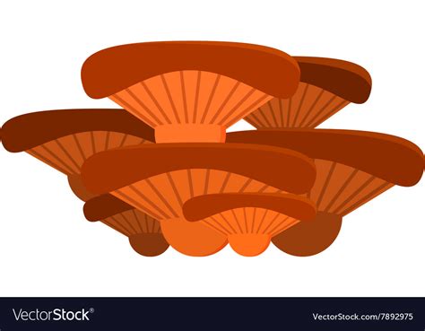 Mushrooms on white background Royalty Free Vector Image