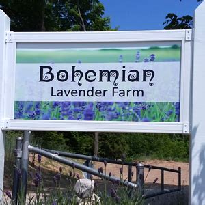 Bohemian Lavender Farm – Great Lakes Lavender Growers