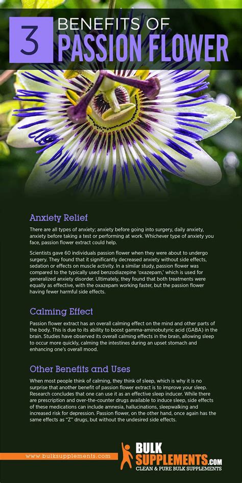 Passion Flower Tea Benefits And Side Effects | Best Flower Site