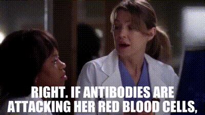 YARN | Right. If antibodies are attacking her red blood cells, | Grey's Anatomy (2005) - S08E14 ...
