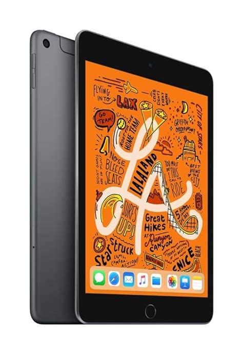 Apple iPad Mini (Wi-Fi + Cellular, 64GB) - Space Grey: Amazon.in: Amazon.in