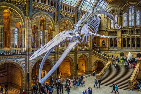 Los museos de Londres: todos los museos que hay en Londres