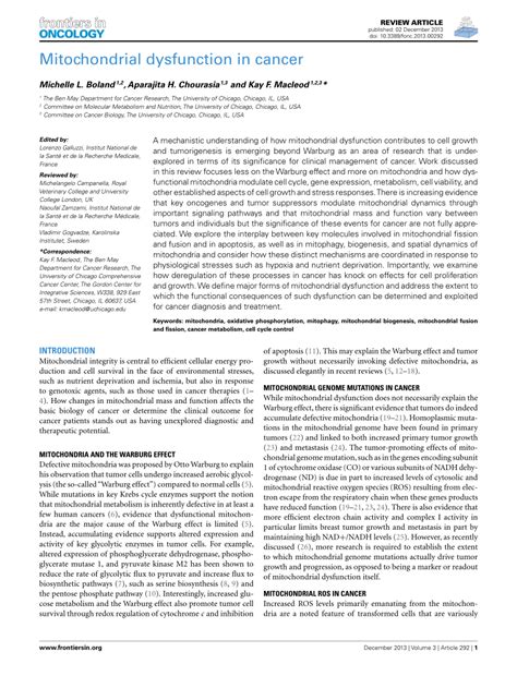 (PDF) Mitochondrial Dysfunction in Cancer